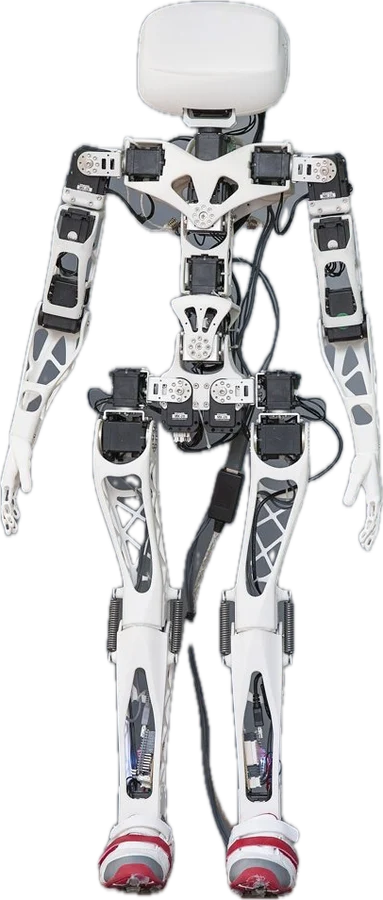 Poppy Humanoid
