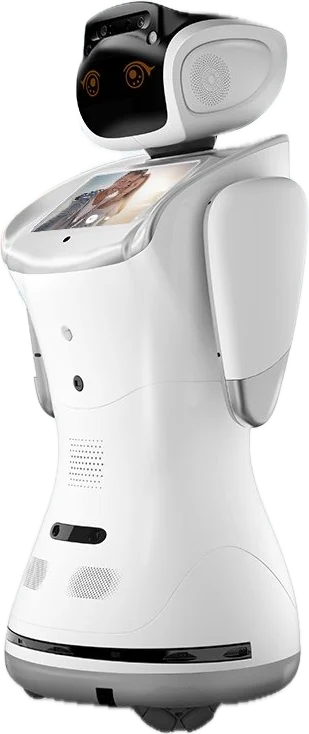 Sanbot Elf