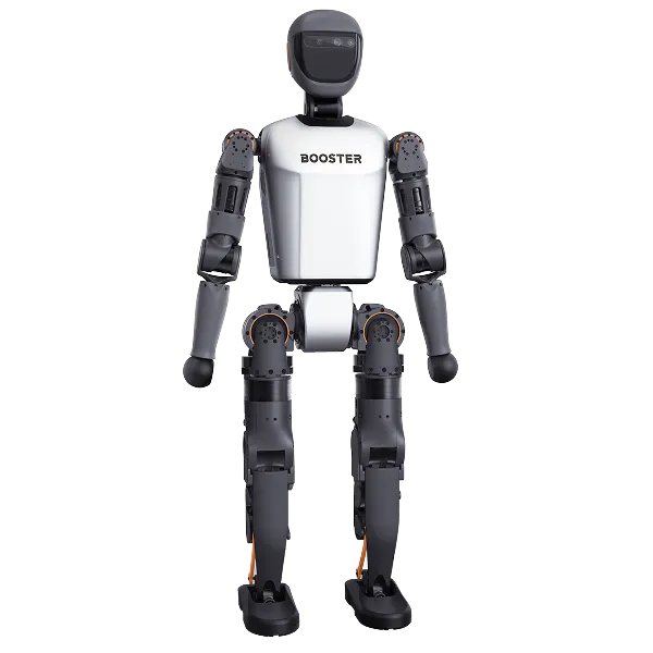 T1