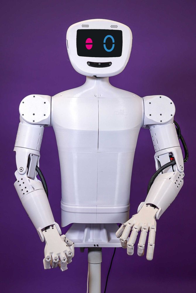 pib (printable intelligent bot)