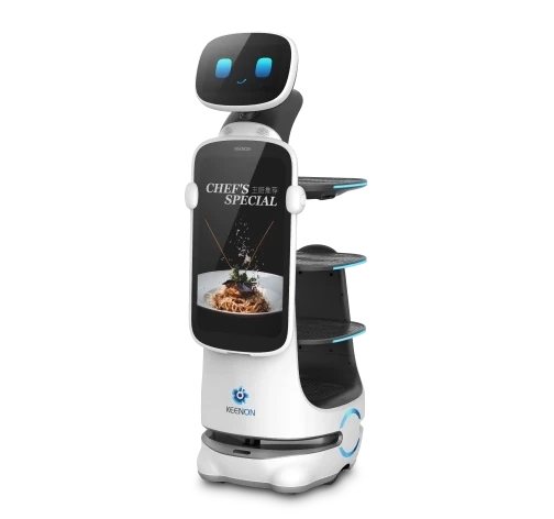 DINERBOT T10