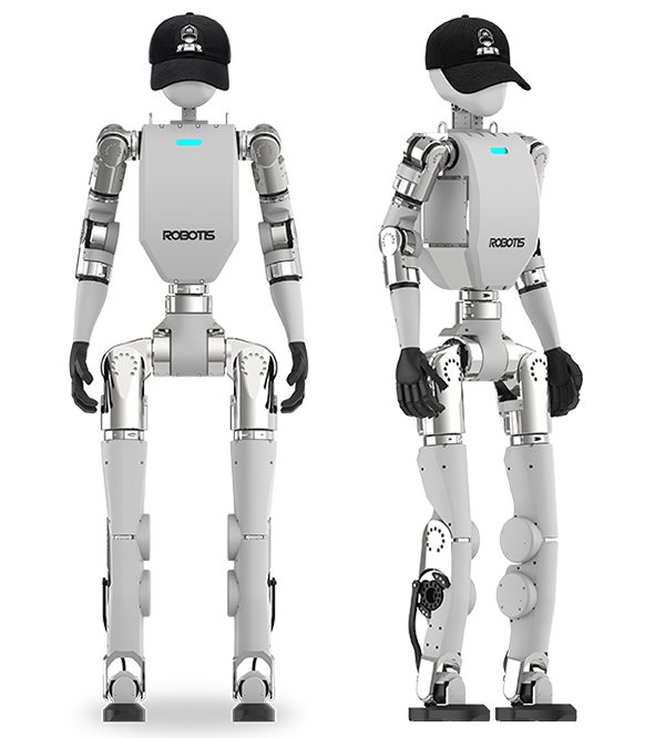 AI Sapiens (K0)