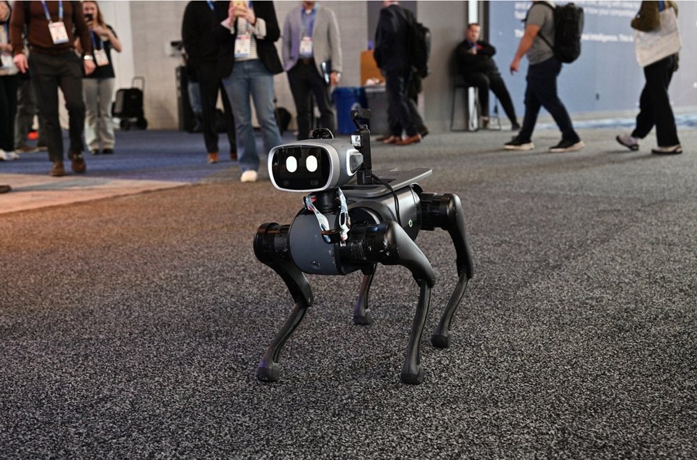 Vbot SuperDog (launched in China as Big Head Bobo)