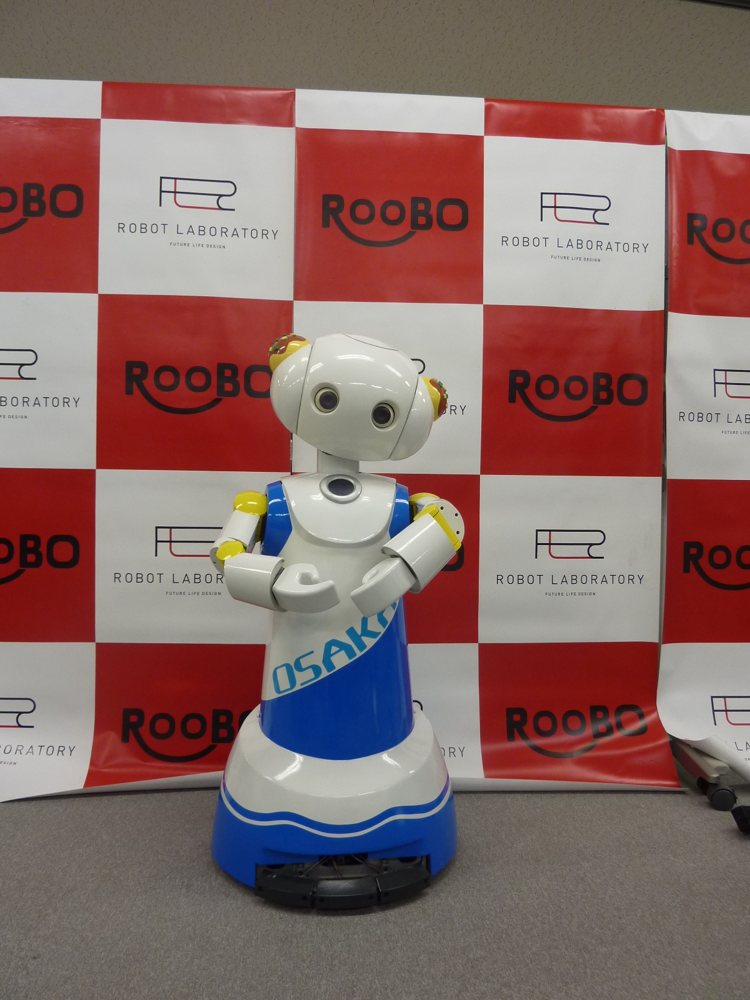Robovie-R Ver.3