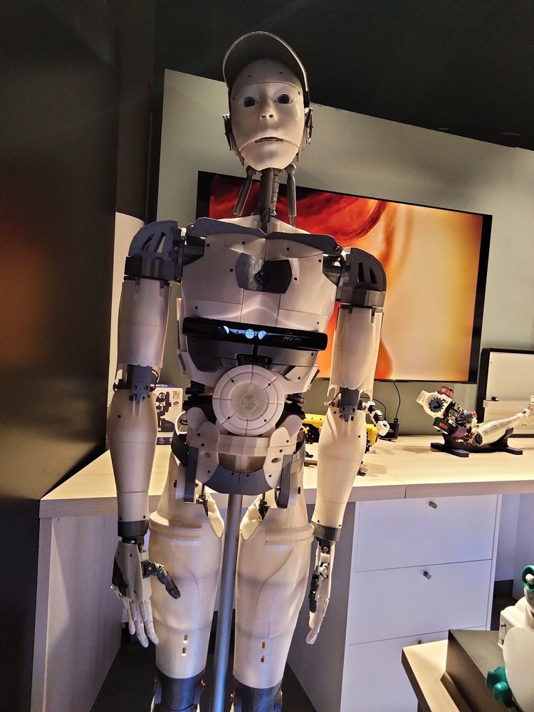 InMoov
