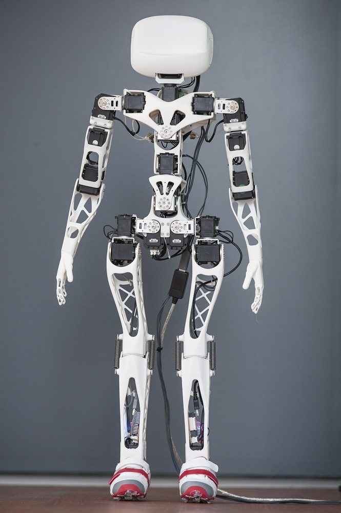 Poppy Humanoid
