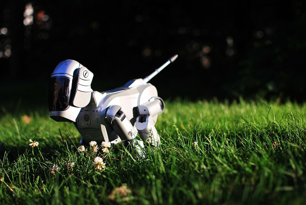 AIBO ERS-111